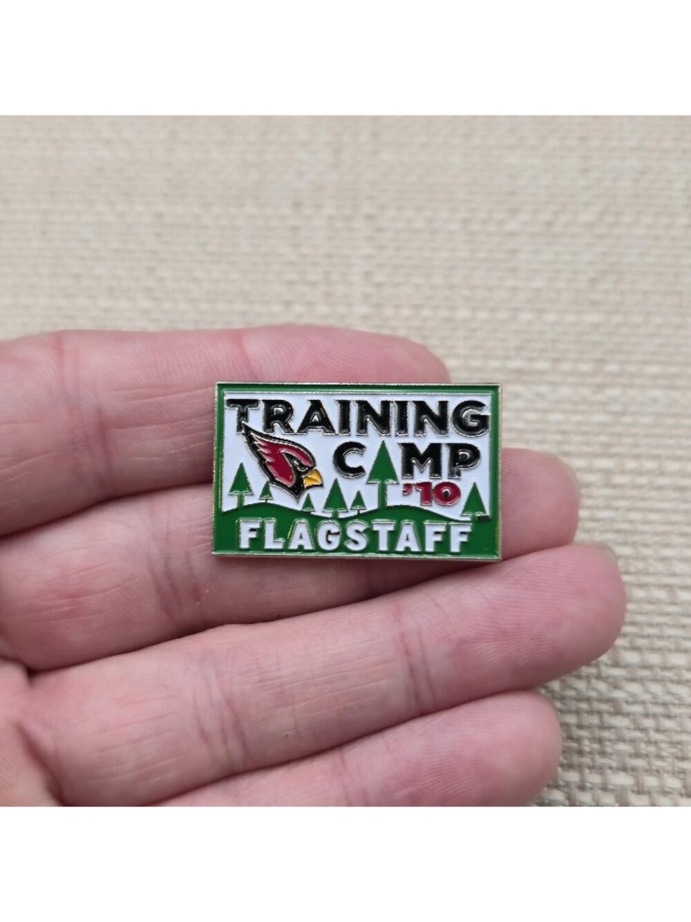 Arizona Cardinals 2010 Flagstaff Training Camp Pin A8728